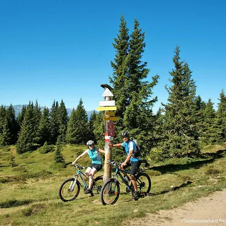 公寓 Mountain C15 By Interhome